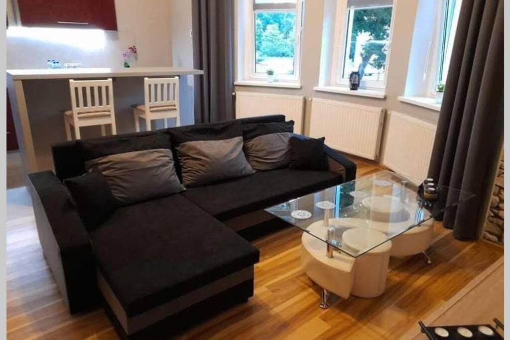 Ferienwohnung Mieszkanie Z Widokiem Na Park -Cieplice Slaskie Zdroj Jelenia Góra Exterior foto