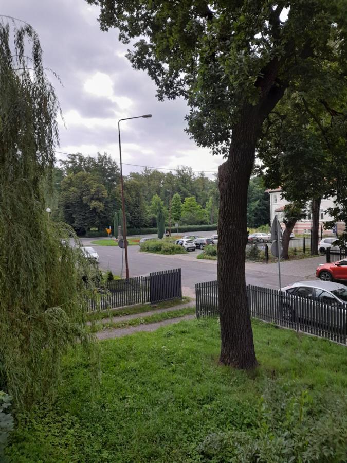 Ferienwohnung Mieszkanie Z Widokiem Na Park -Cieplice Slaskie Zdroj Jelenia Góra Exterior foto