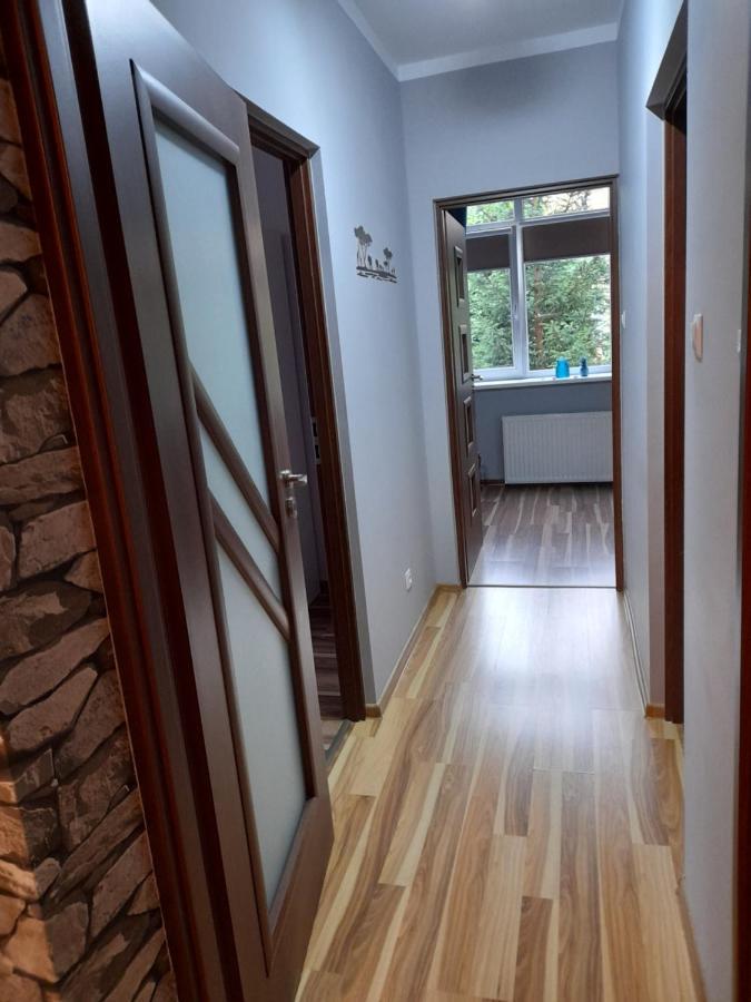 Ferienwohnung Mieszkanie Z Widokiem Na Park -Cieplice Slaskie Zdroj Jelenia Góra Exterior foto