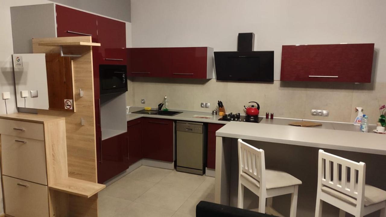 Ferienwohnung Mieszkanie Z Widokiem Na Park -Cieplice Slaskie Zdroj Jelenia Góra Exterior foto